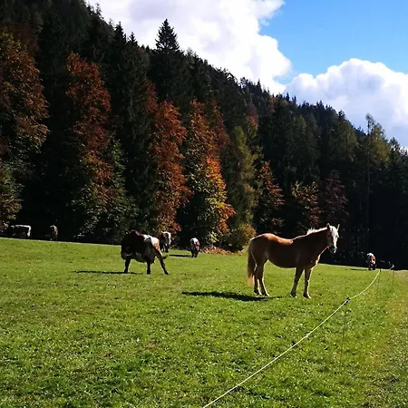 Haus Branol * Hermagor-Pressegger See