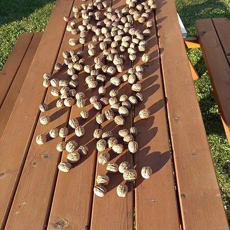 Daire Haus Branol Hermagor-Pressegger See