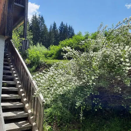 Appartement Haus Branol Hermagor-Pressegger See