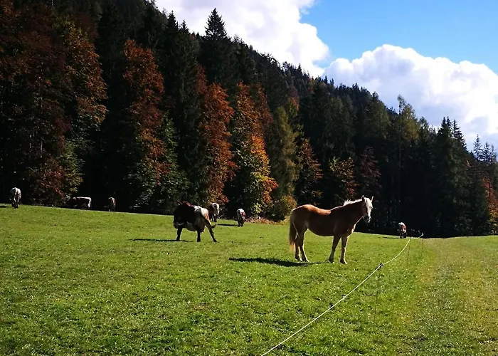 Haus Branol * הרמגור