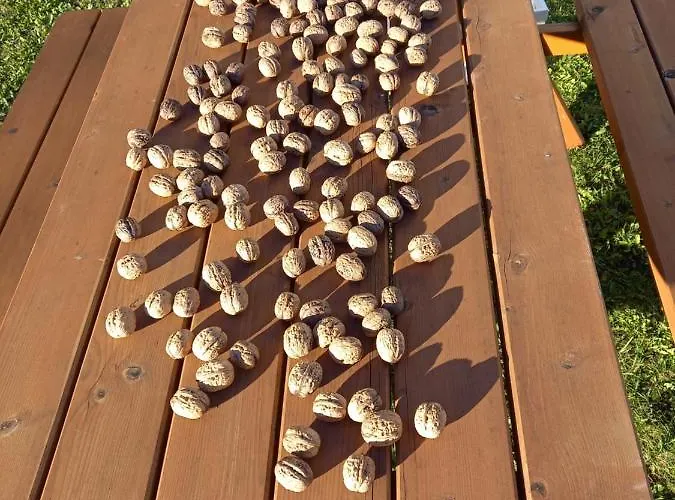 דירה Haus Branol הרמגור