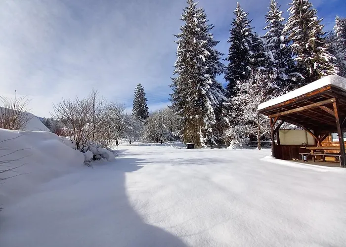 דירה Haus Branol הרמגור