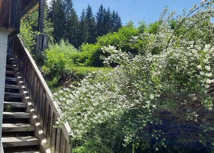 דירה Haus Branol הרמגור